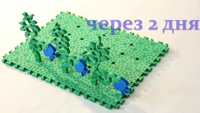 ФЕРМА ОГОРОД-играем дома с ребёнком в мягкий конструктор . Выращиваем овощи и собираем урожай. смотреть онлайн