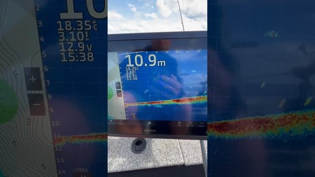 Паноптикс и Судаки на Рыбинке! #fishing смотреть онлайн