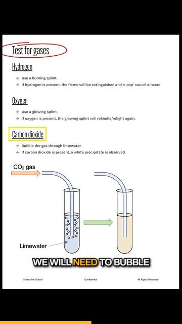 Testing for Gases #science #chemistry #oxygen #hydrogen #carbondioxide #ammonia смотреть онлайн