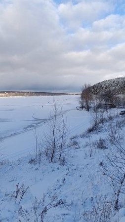 зимняя рыбалка #ice #icefishing #окунь #зимняярыбалка