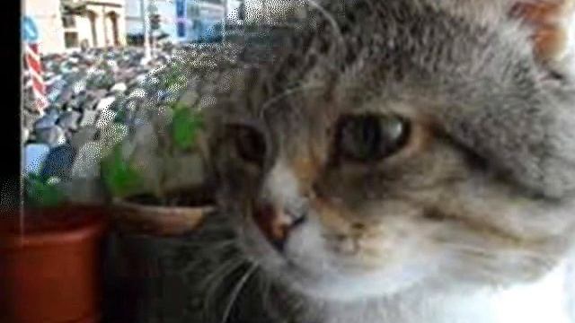 Приколы ставьте +1 смотреть онлайн