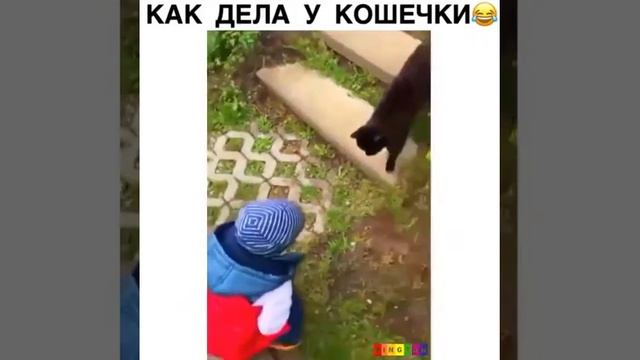 Как у кошечки дела 😅😂:-:O смотреть онлайн