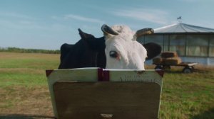 Село Зеленое  15с Сделано на позитиве (chess)