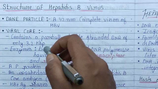 Hepatitis Viruses || hepatitis Viruses -A,B,C,D,E,G Laboratory diagnosis and treatment