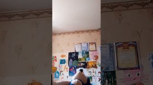 Соник рассказывать зачем нужны акции в магазинах