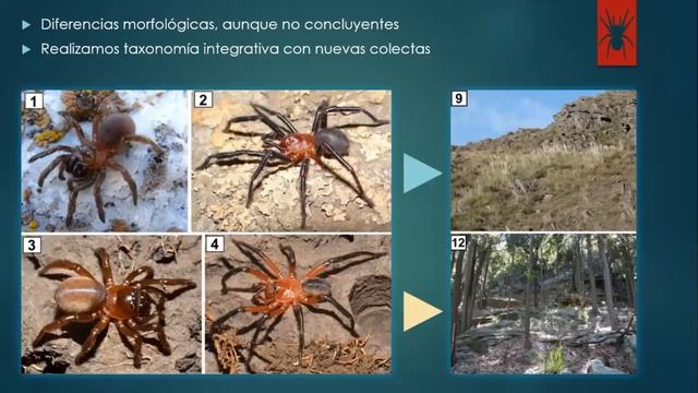 Acto de Apertura - VII Congreso Uruguayo de Zoología смотреть онлайн