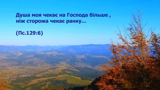 Как поступать по вере в условиях давления 1 01 смотреть онлайн