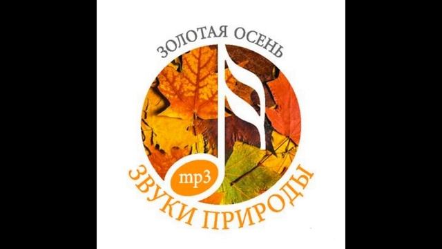 Звуки природы.Золотая осень. смотреть онлайн