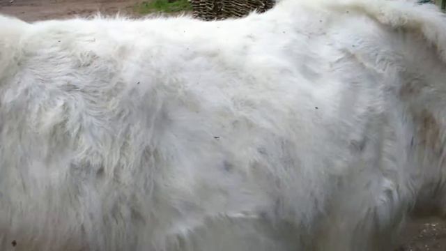 8(916)702-11-08 Як на съемку смотреть онлайн