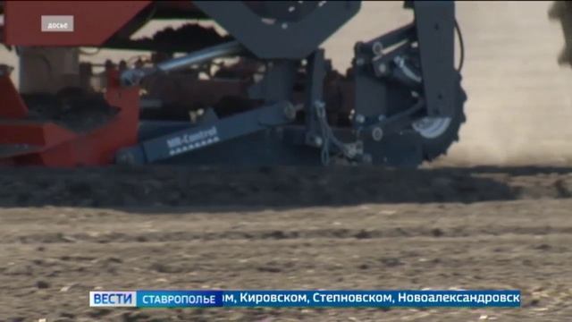 На Ставрополье началась посадка овощей в открытый грунт