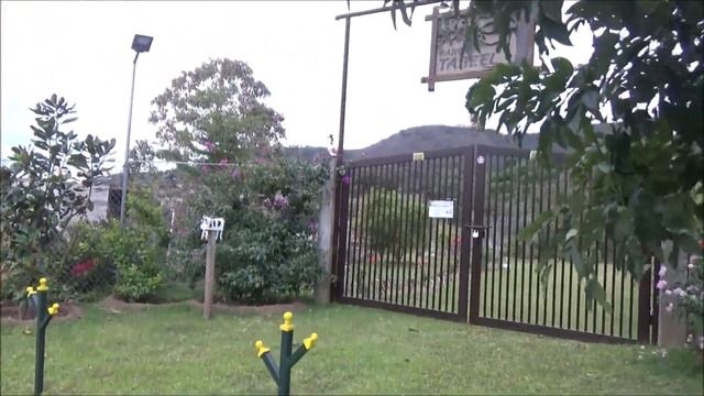 CAMINO A TALPA DESDE TEPIC 2024 JORNADA 7 GALOPE MASCOTA смотреть онлайн