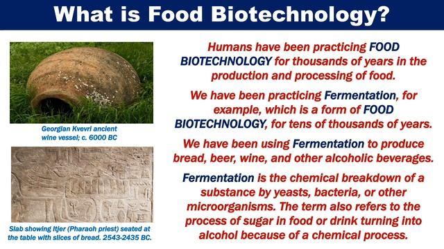 What is Food Biotechnology?