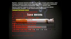 31 мая - Всемирный день без табака
