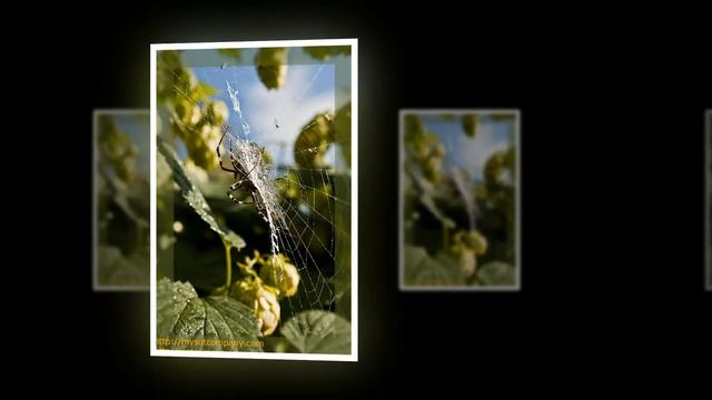 Бабье лето 01 смотреть онлайн