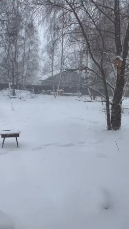 Андерс принес березовый сок. Апрель, у тебя все ок?