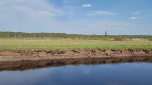 Участок 62га на берегу р. Судогда (впадает в р. Клязьма) во Владимирской области