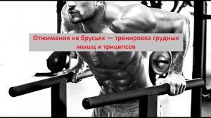 Отжимания на брусьях — тренировка грудных мышц и трицепсов