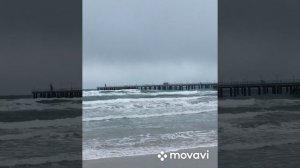 Чем отмывать обувь от мазута. 11.04.2025 г. Анапа.