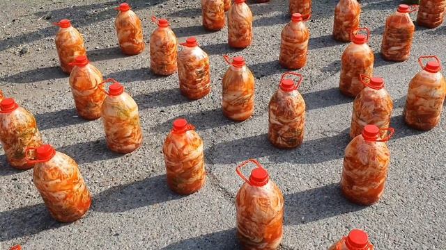 Uzbekistan  Чимчи продают на трассе    корейская капуста