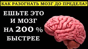 Мозг на максимум: 5 продуктов, которые едят учёные и спецагенты