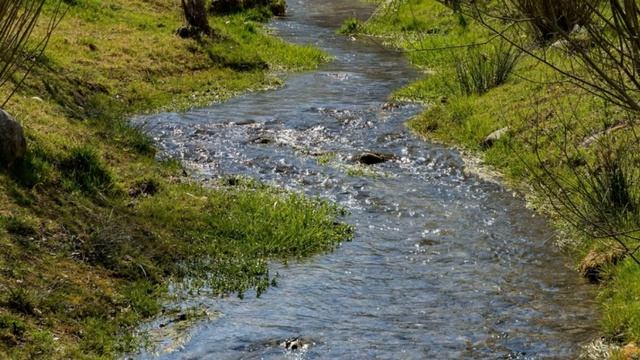 Звук Журчание ручья. Шум Ручья смотреть онлайн