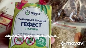 Мульча из сосновых и еловых шишек для гортензии...