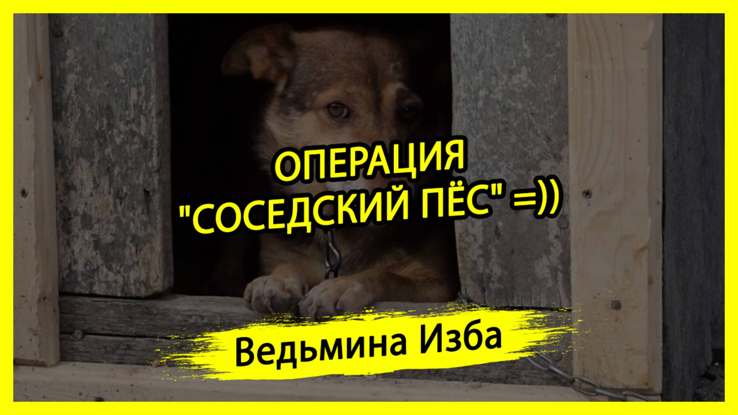 ОПЕРАЦИЯ "СОСЕДСКИЙ ПЁС" =)). #ВЕДЬМИНАИЗБА ▶️ #МАГИЯ