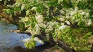 Черемуха Есенин