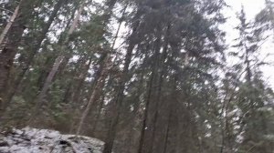Зимняя и радостная прогулка по лесу.