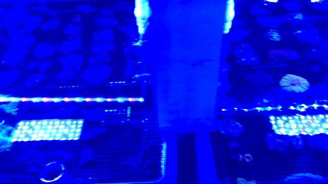 JBJ 45G RL (BEST LFS VISIT TO DATE ) смотреть онлайн