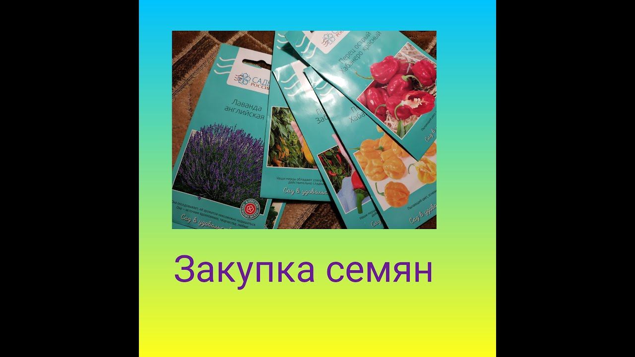 Небольшая закупка семян на следующий сезон смотреть онлайн