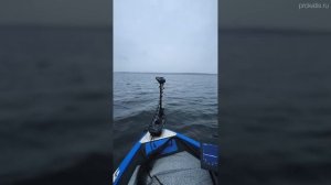 НАПОРОЛИ. ТОП РЫБАЛКА ЖИЗНИ. ДЕСНОГОРСКОЕ вдхрн. МАЭСТРО Волынкин. Судак. ПАНОПТИКС. GARMIN LVS62