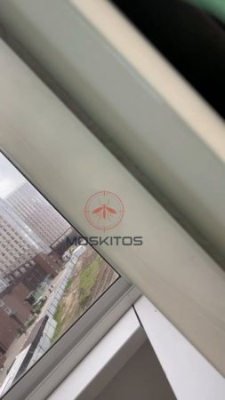 Сетка плиссе