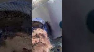 Жизнь на Земле.