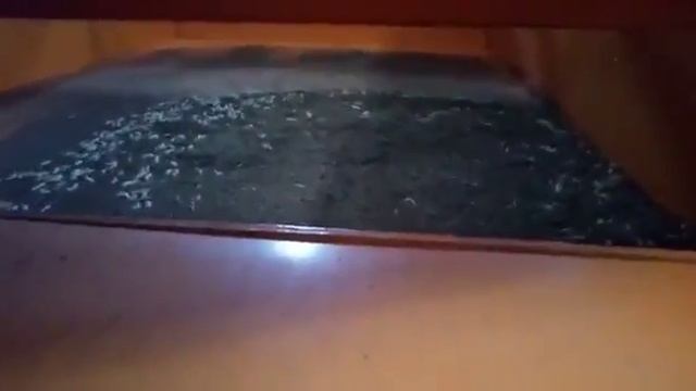 Вибросито ВС ВИ 98Н 2 фракция-360p смотреть онлайн