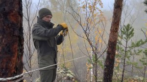 Лесные - чтобы выжить в горах, я построил маленькую избу