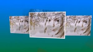 "СОК БЕРЁЗОВЫЙ С ГОРЕЧЬЮ" в исполнении Галины Погорельской.