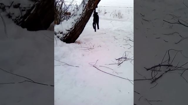 Решил найти рыбу с пилой смотреть онлайн