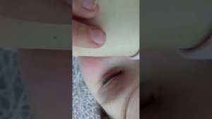 это мой попугай Риша