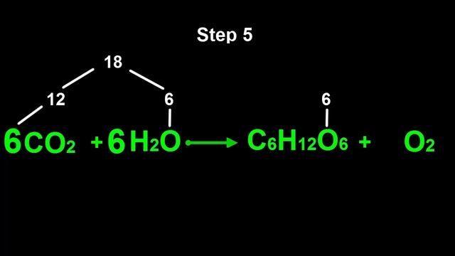 Chemistry Tutorial: Chemical Equations & Photosynthesis