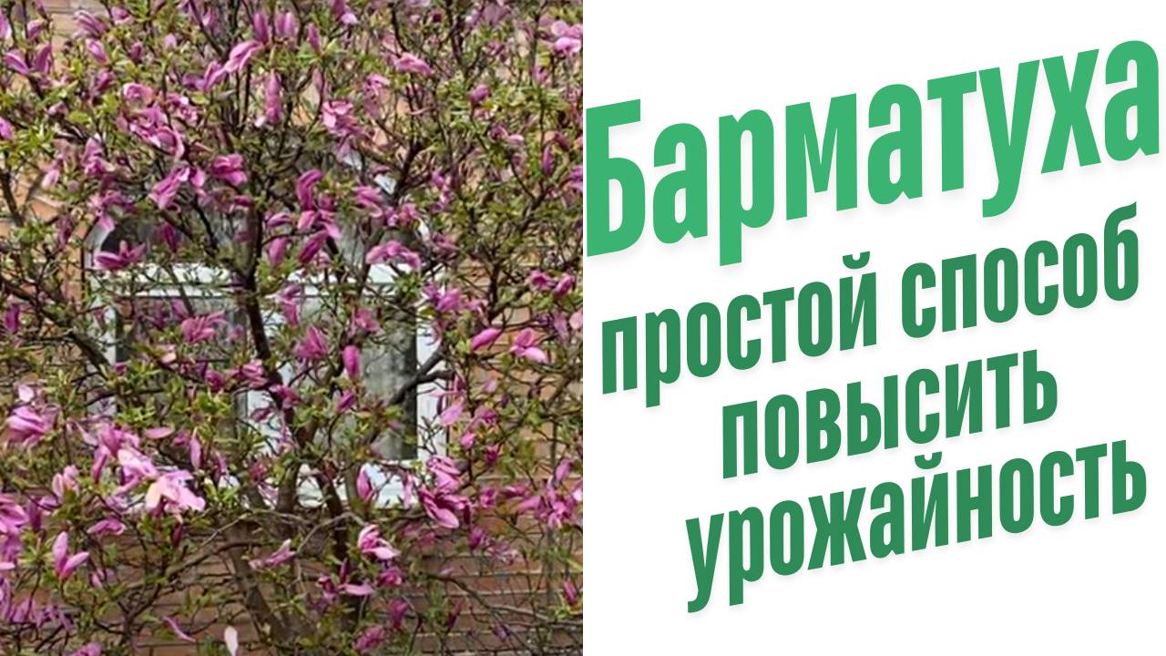 Как повысить урожайность?
