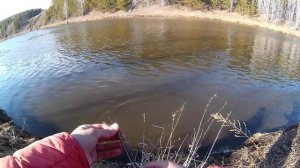 Окуни и судаки на отводной поводок в малопосещаемых местах реки Исеть. Рыбачу с девушкой Катей