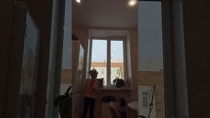 из одного ингредиента