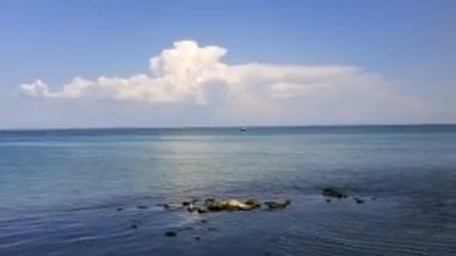 феодосия порт смотреть онлайн