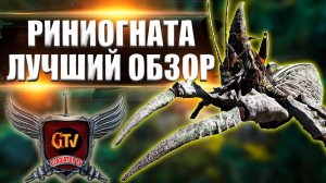 Риниогната (Rhiniognatha) в АРК. Лучший обзор: приручение и обзор вертолета (риниогнаты)