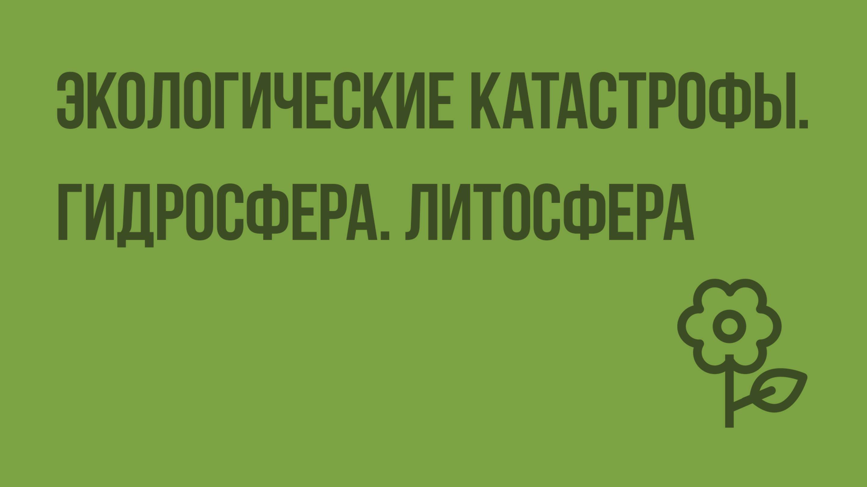 Экологические катастрофы. Гидросфера. Литосфера. Видеоурок по природоведению 5 класс