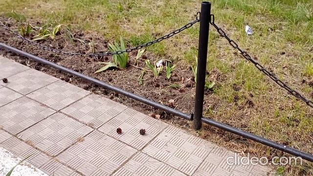 Сегодня - Международный день освобождения узников фашистских концлагерей