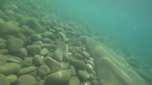 Черное море. Под водой. Видео.