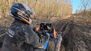 квадрацикл и лес