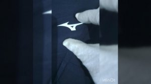 тайтсы мужские Mizuno original